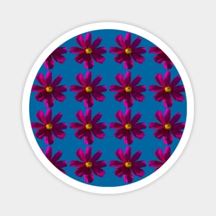 Dark Pink Cosmos Flowers Pattern Magnet